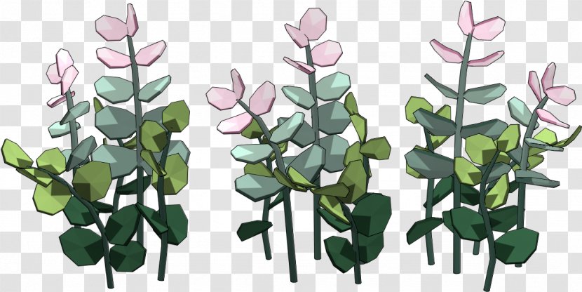 Cactus Cartoon - Flower - Spiderwort Houseplant Transparent PNG