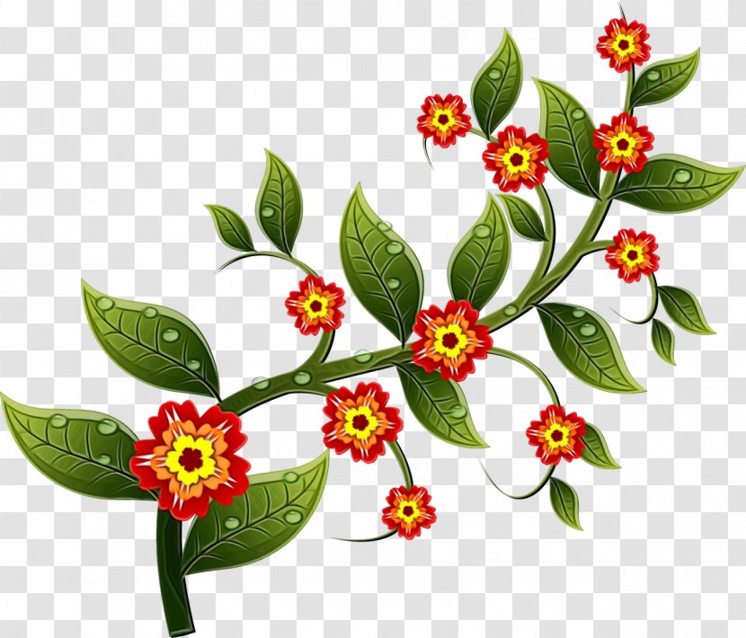 Watercolor Floral Background - Leaf - Daphne Herbaceous Plant Transparent PNG