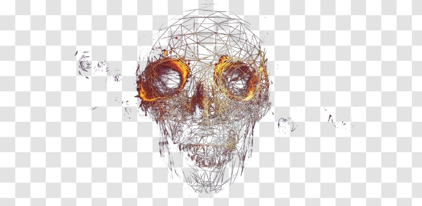 Skull - Bone Transparent PNG