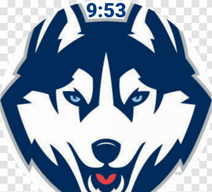 University Of Connecticut Huskies Football Men's Basketball Women's Logo - Husky Transparent PNG