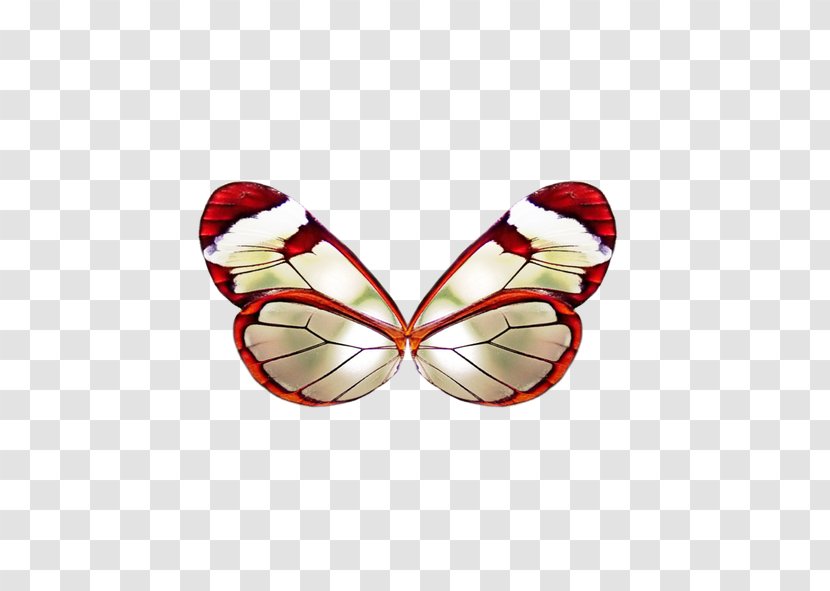Butterfly Clip Art - Heart - Expand Creative Wings Transparent PNG