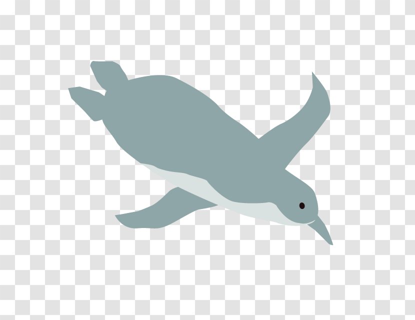 Whale Cartoon - Water Bird - Cetacea Transparent PNG