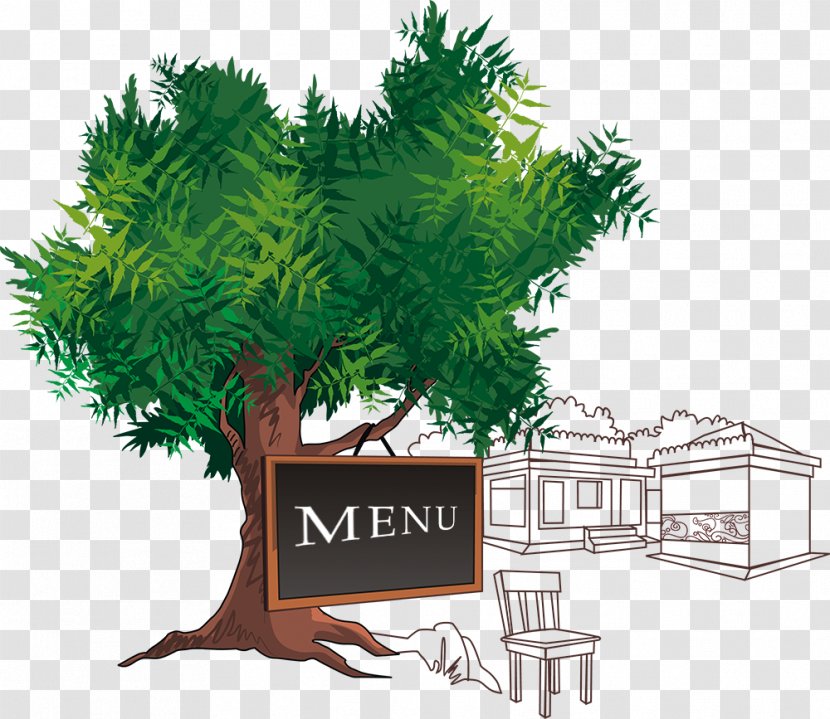 Food Tree Taste Pine - Dal Makhani Transparent PNG