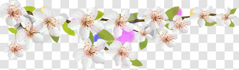 Petal Cherry Blossom Flower - Dress - Beautiful Material Transparent PNG
