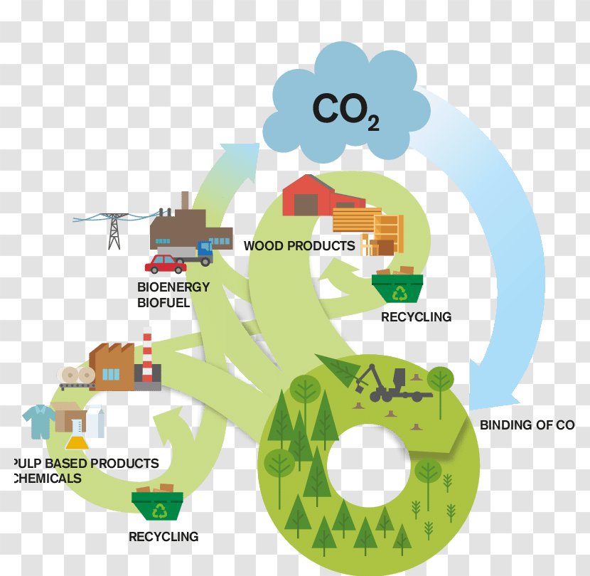 Forest Biomass Bioenergy - Diagram - Cartoon Europe Transparent PNG