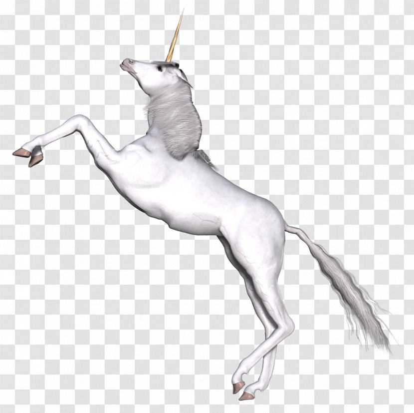 Unicorn Fairy Tale Mythology - Horse Transparent PNG