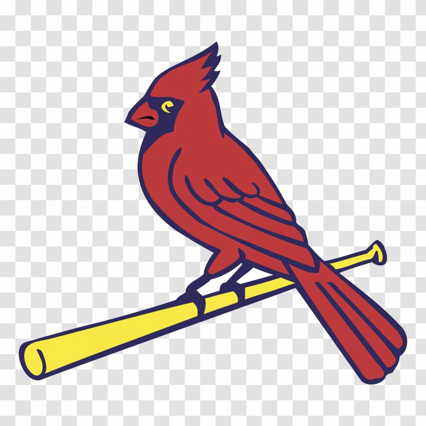 Logos And Uniforms Of The St. Louis Cardinals MLB Vector Graphics Baseball - Songbird Transparent PNG