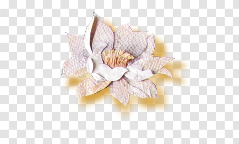 Adobe Illustrator - Flower Aflame - Ceramic Lotus Transparent PNG