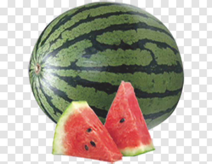 Watermelon Juice Auglis Fruit - Local Food Transparent PNG