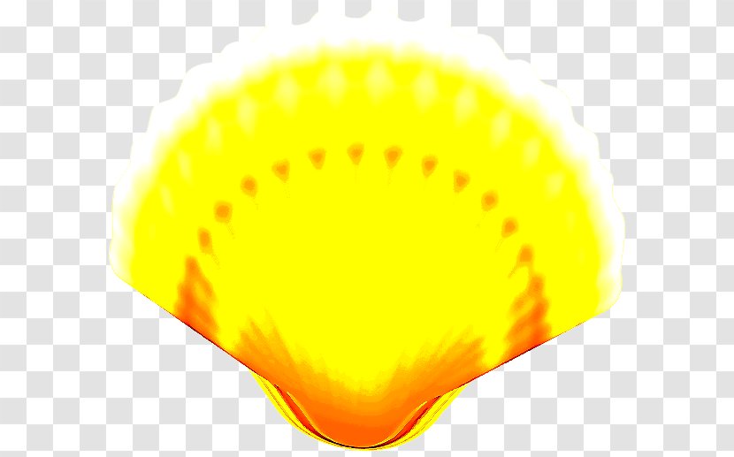 Orange - Yellow - Swimwear Transparent PNG