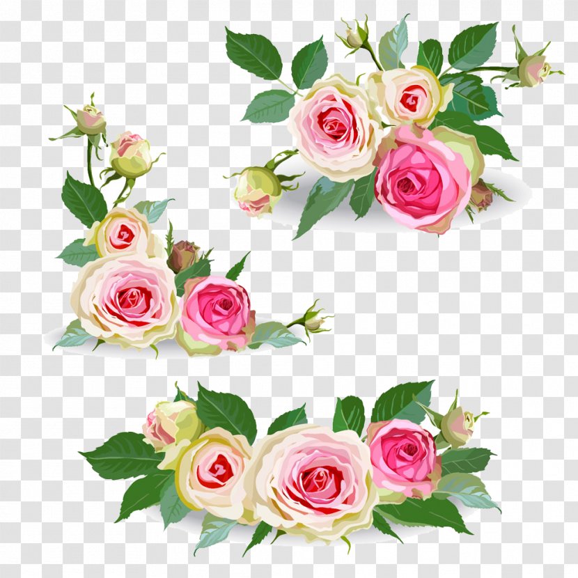 Pink Flowers - Rosa Centifolia - Royalty Free Transparent PNG