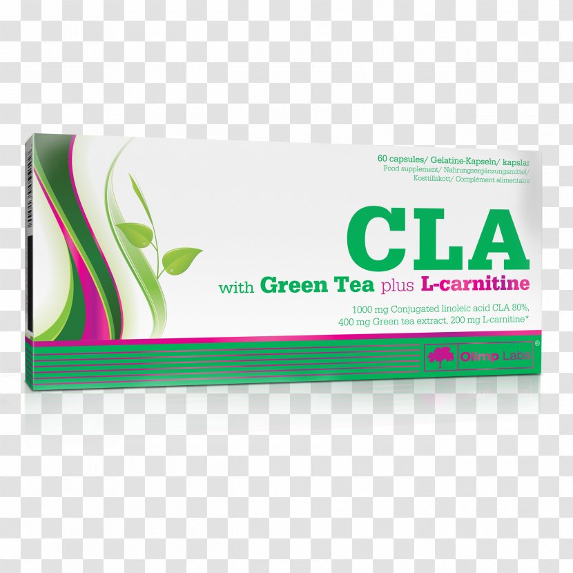 Dietary Supplement Olimp CLA & Green Tea Plus L-Carnitine - 60 Capsules L-Carnitine60 Conjugated Linoleic AcidGreen Transparent PNG