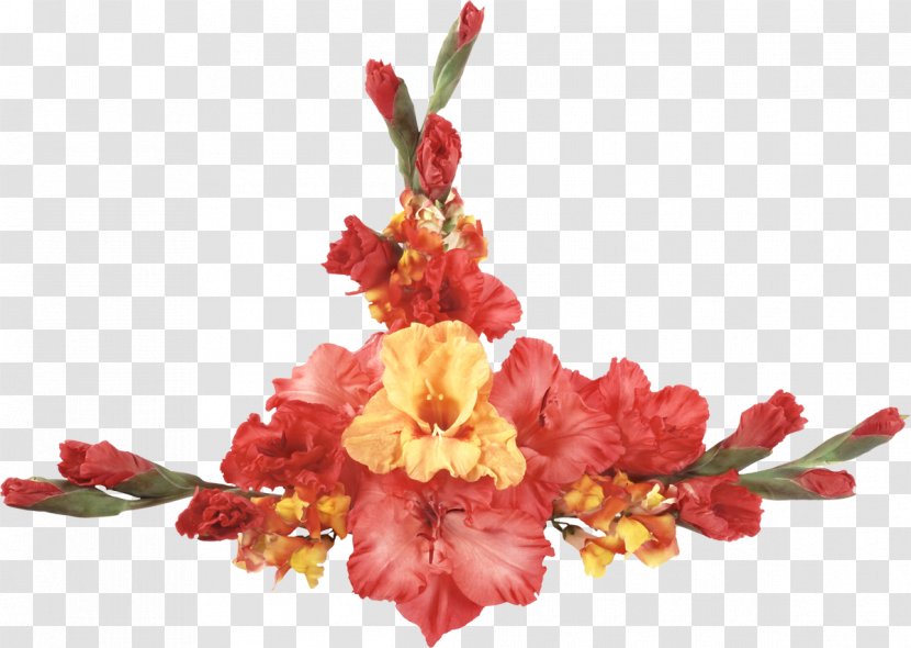 Flower Bouquet Gladiolus Desktop Wallpaper - Arranging Transparent PNG