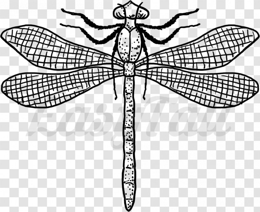 Dragonfly Insect Tattoo Line Art EasyTatt - Tree Transparent PNG