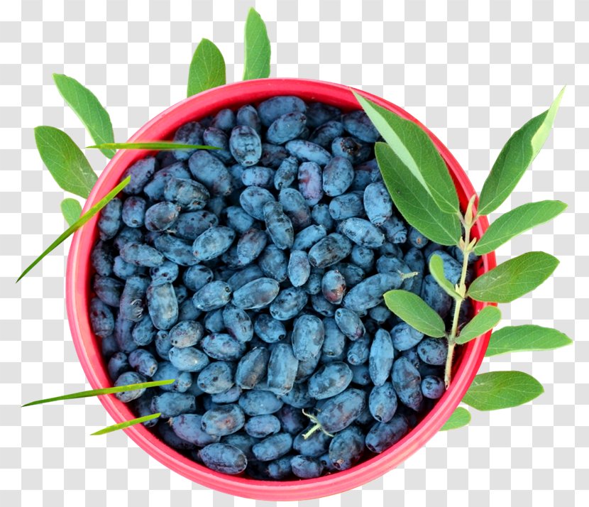 Blueberry Mors Juice Tyumenskiye Izvestiya, Gazeta Vegetarian Cuisine - Food Transparent PNG
