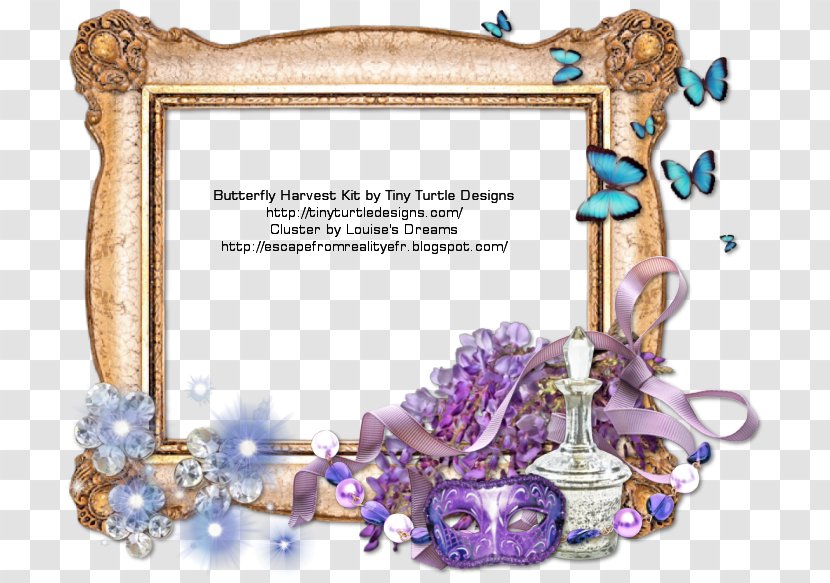 Picture Frames Blog Reality Dream - Kitt - Butterfly Frame Transparent PNG