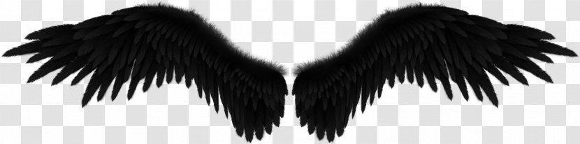 Fallen Angel Wing Black - Monochrome Photography Transparent PNG