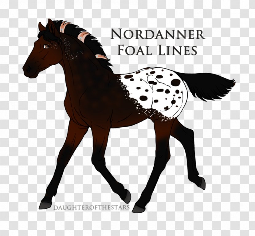 Mustang Foal Stallion Pony Mare Transparent PNG