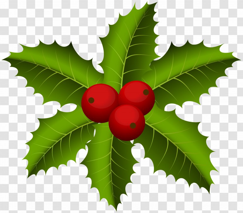 Christmas Eve Holiday Nativity Of Jesus Tradition - Fruit - Mistletoe Clip Art Transparent PNG