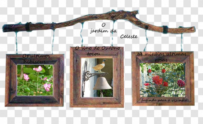 Picture Frames Wood /m/083vt Transparent PNG