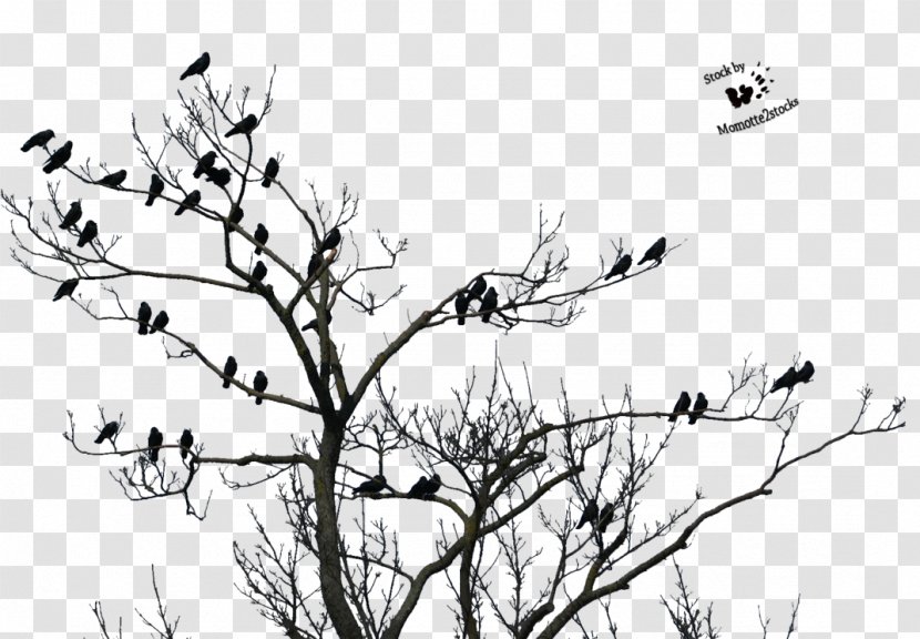 Song Rajasthan Clip Art - Twig - Love Tree Transparent PNG
