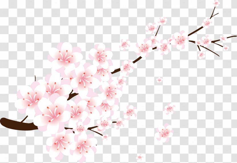 Download Gratis Clip Art - Twig - Peach Blossom Transparent PNG