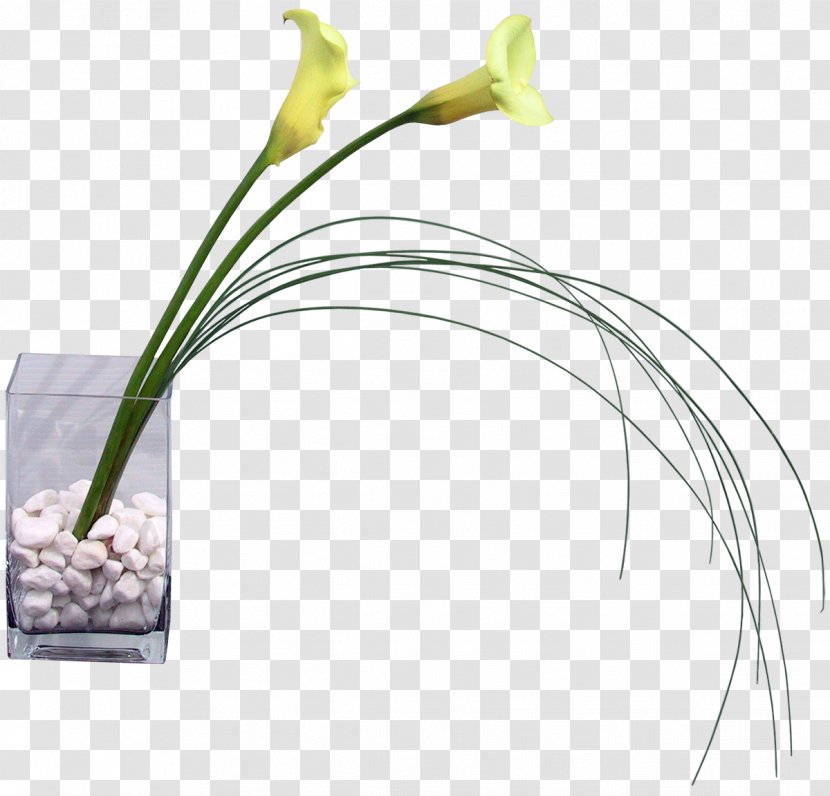Floral Design Vase Flower Bouquet - Grass Family Transparent PNG