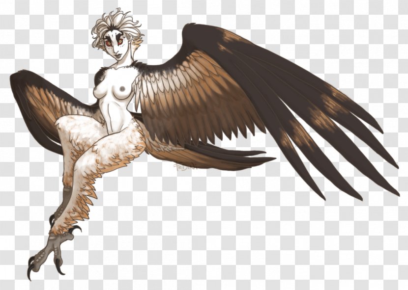 Harpy Eagle Dragon's Dogma Monster Bird - Wing Transparent PNG