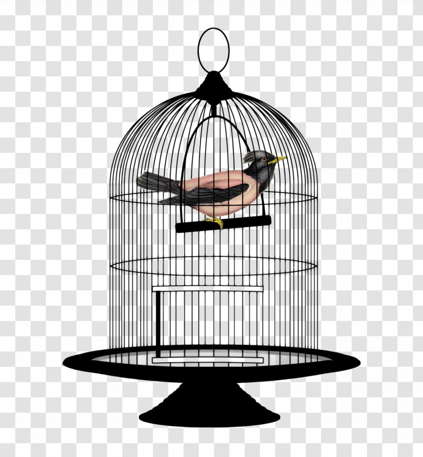 Lovebird Birdcage Clip Art - Silhouette - Bird Cage Transparent PNG