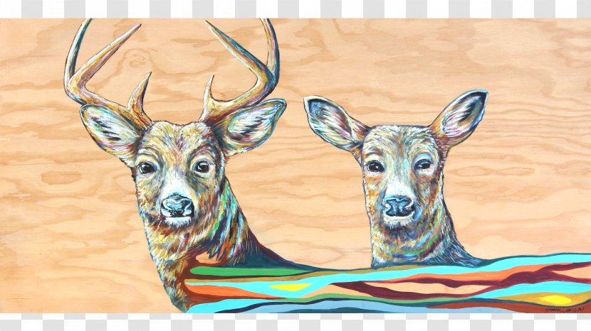 Deer Antler Fauna Wildlife Transparent PNG
