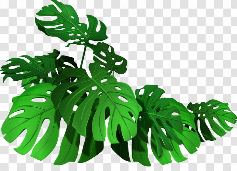 Leaf Vector Graphics Royalty-free Stock Photography Illustration - Green - Hojas Infographic Transparent PNG