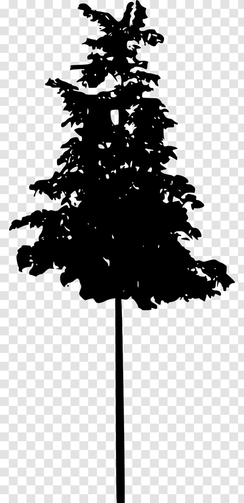 Pine Tree Spruce Conifers - Evergreen - Silhouette Transparent PNG
