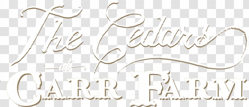 Paper Calligraphy Font Writing Line - Logo - Special Event Banners Transparent PNG