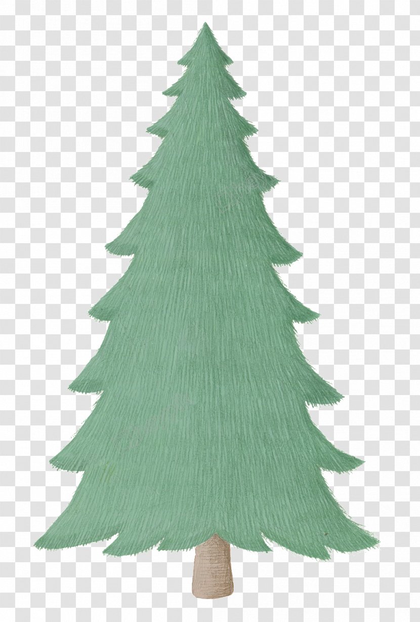Christmas Day Tree Drawing Image - Conifer Transparent PNG