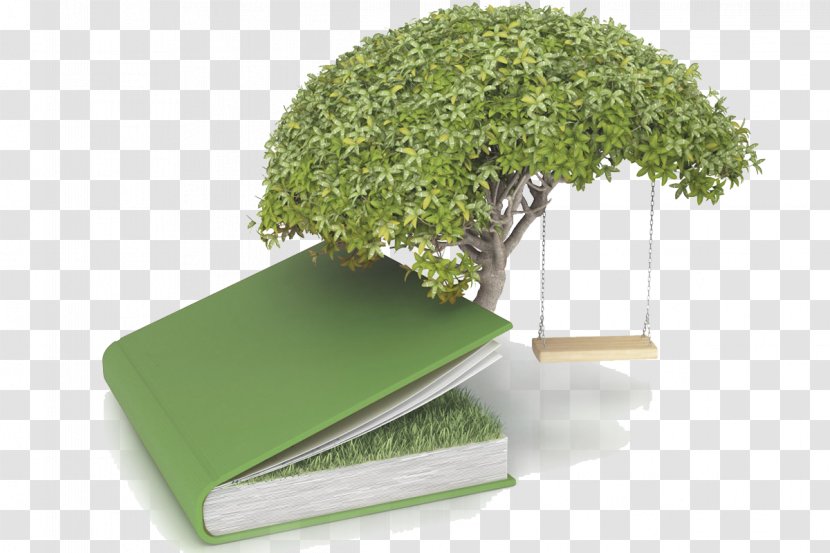 Tree Of The Knowledge Good And Evil Bonsai Stock Photography - Concept Transparent PNG