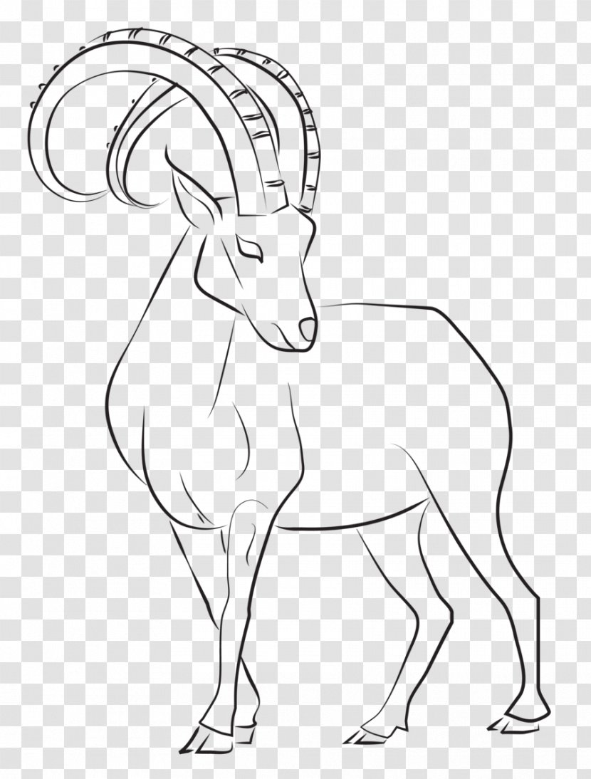 Line Art Drawing Goat Alpine Ibex Nubian Transparent PNG