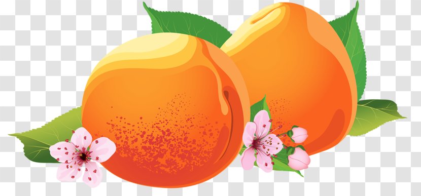 Download Google Images - Fruit - Small Peaches Transparent PNG