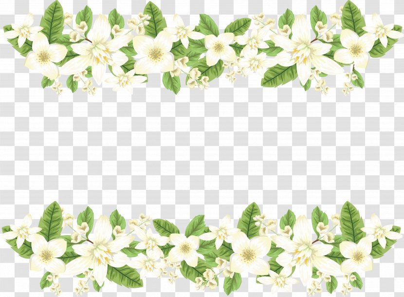 Romantic White Jasmine Border - Floral Design Transparent PNG