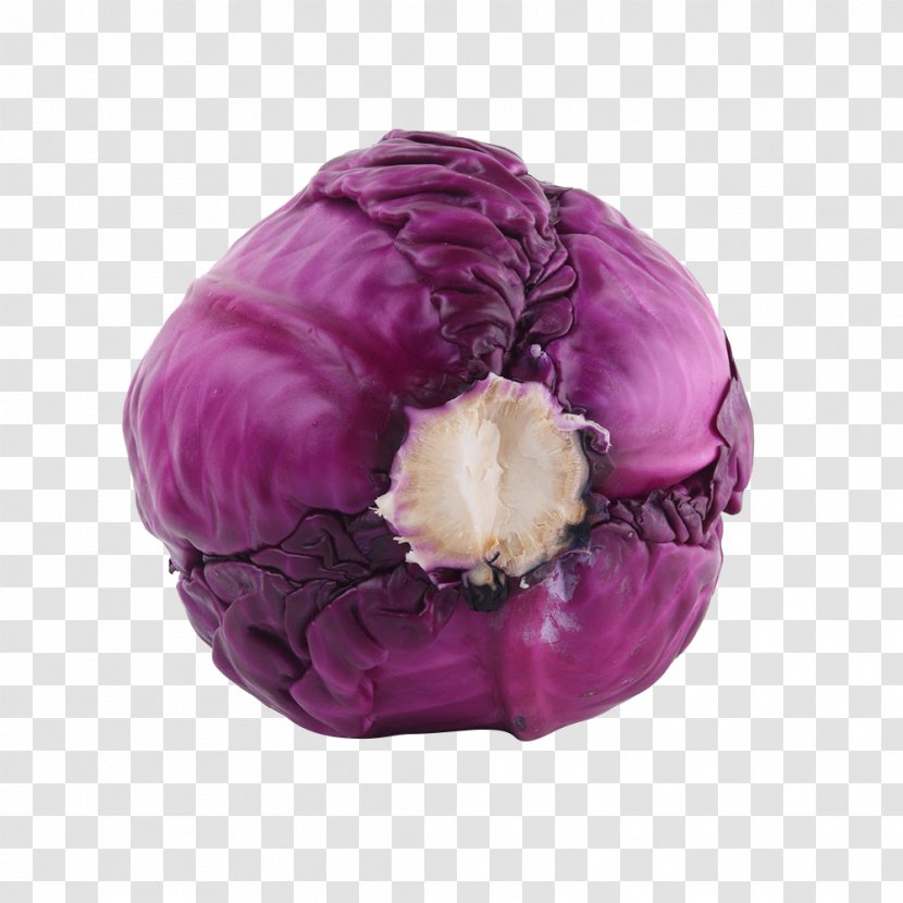 Red Cabbage Purple Violet Vegetable - Nutrition - Fresh Nutritious Transparent PNG
