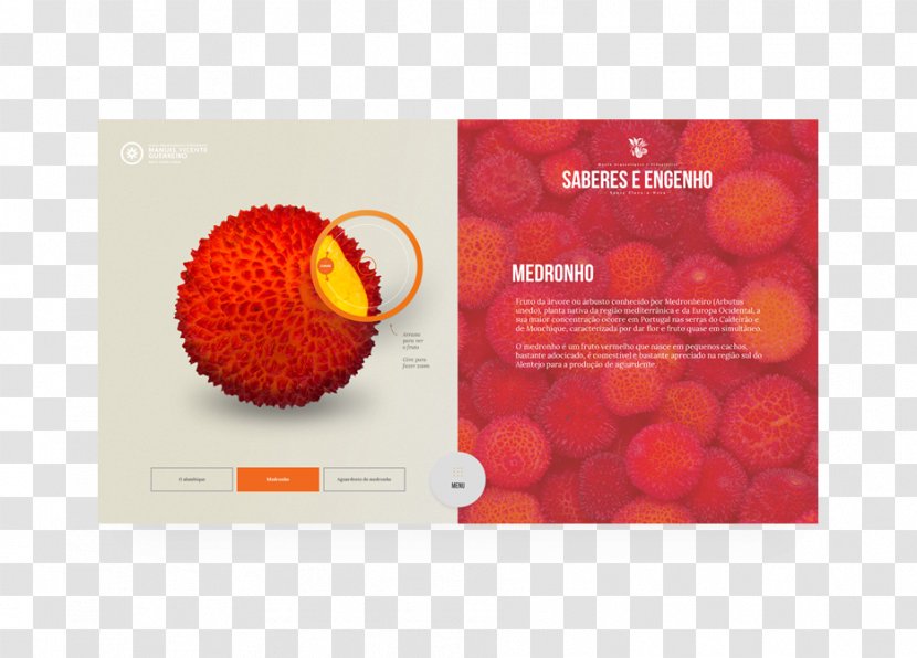 Brand Advertising - Orange - Design Transparent PNG