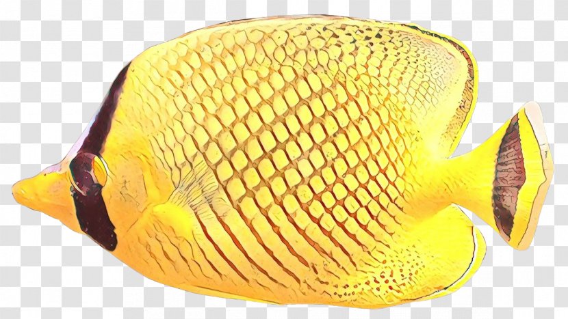 Fish Yellow Butterflyfish Pomacanthidae Headgear - Hat Cap Transparent PNG