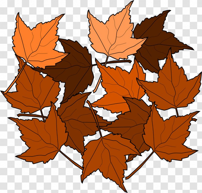 Maple Leaf Autumn Color Clip Art - Leaves Transparent PNG