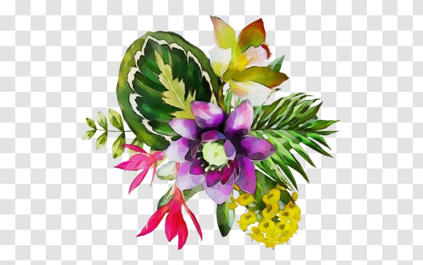 Floral Design - Plant - Petal Transparent PNG