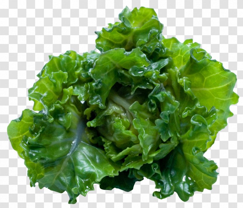 Juice Smoothie Kale Ribollita Food - Leaf Vegetable Transparent PNG