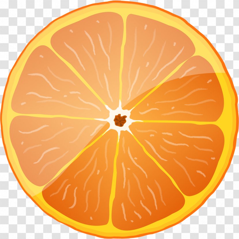 Blood Orange Royalty-free Clip Art - Drawing - Enough Refreshing Transparent PNG