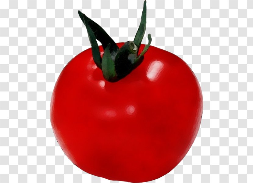 Tomato - Wet Ink - Nightshade Family Food Transparent PNG