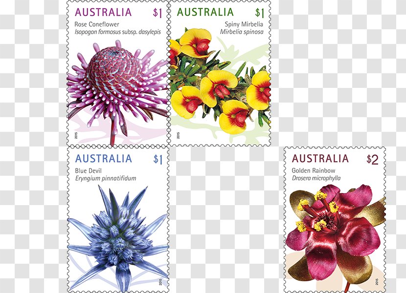 Postage Stamps Wildflower Australia Post Mail - Australian Flowers Transparent PNG