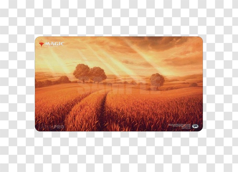 Magic: The Gathering Unstable Playing Card Game Basic Land - Harvest Transparent PNG