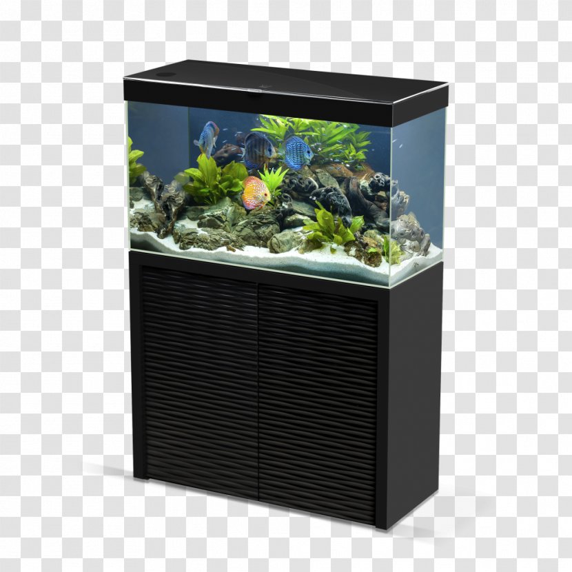 Matériel D'aquarium Ciano Aqua 20 Emotions Pro 120 LED Weiss, Becken Pet Shop - Freshwater Aquarium - Hydroponics Transparent PNG