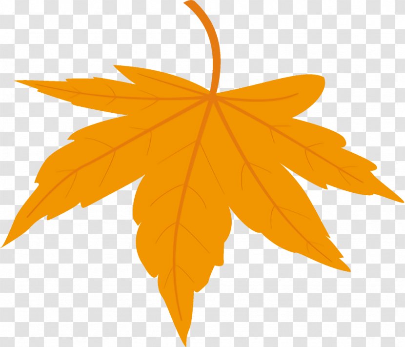 Maple Leaf Fallen Dead - Plane Sky Transparent PNG